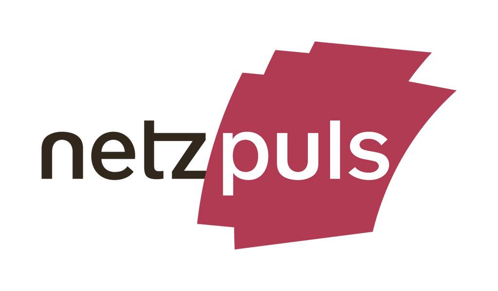 netzpuls AG | strategie & marketing Logo