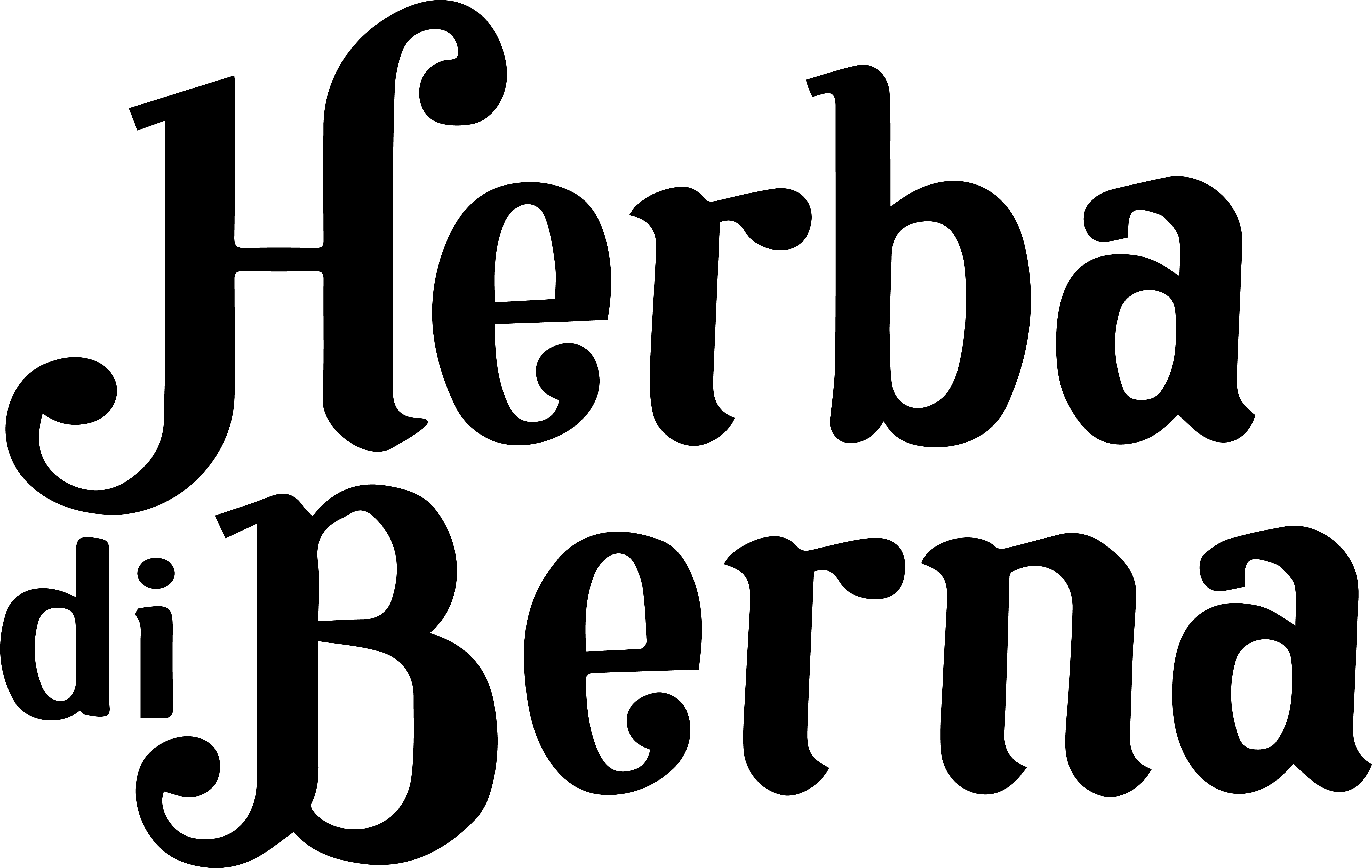 Herba di Berna AG Logo